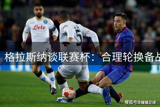 格拉斯纳谈联赛杯：合理轮换备战 期待为森林争取荣誉